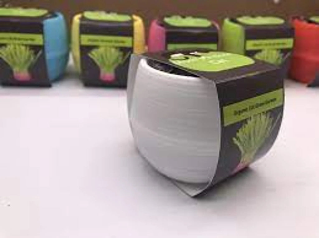 Cat Grass Ball Case