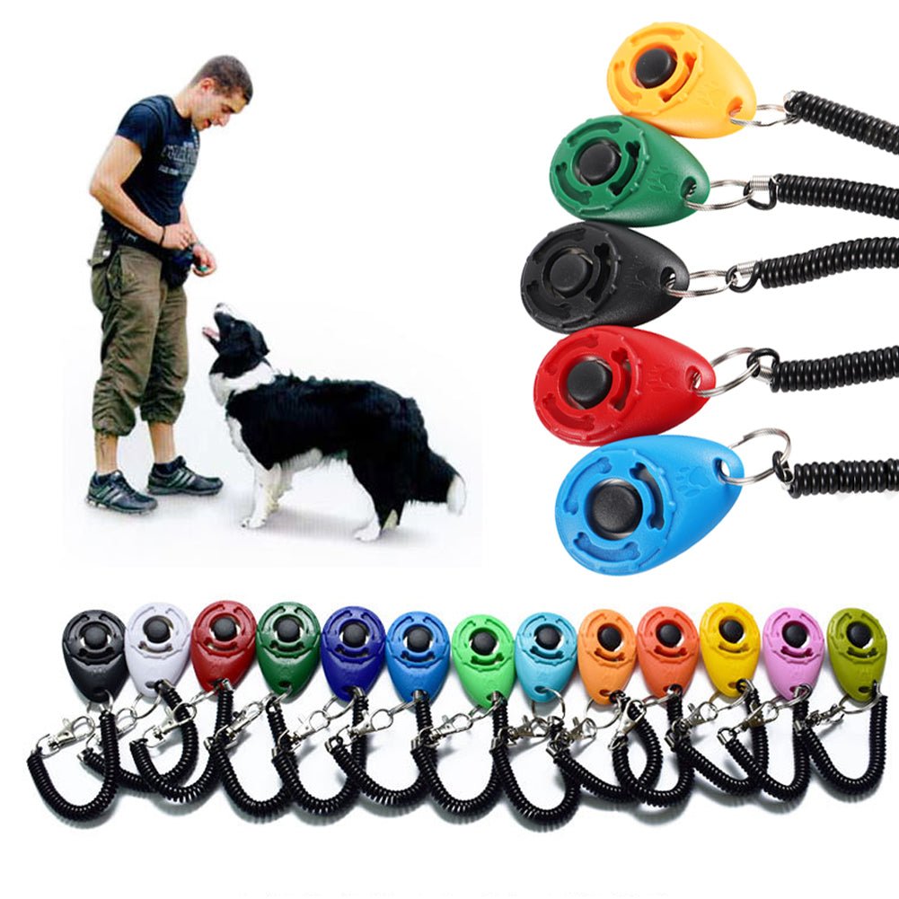 Adjustable Dog Training Clicker with Keychain Strap - Tail Wagger's Haven