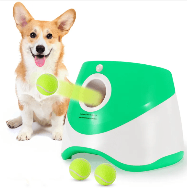 Automatic Dog Ball Thrower - Tail Wagger's Haven