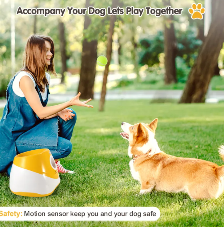 Automatic Dog Ball Thrower - Tail Wagger's Haven