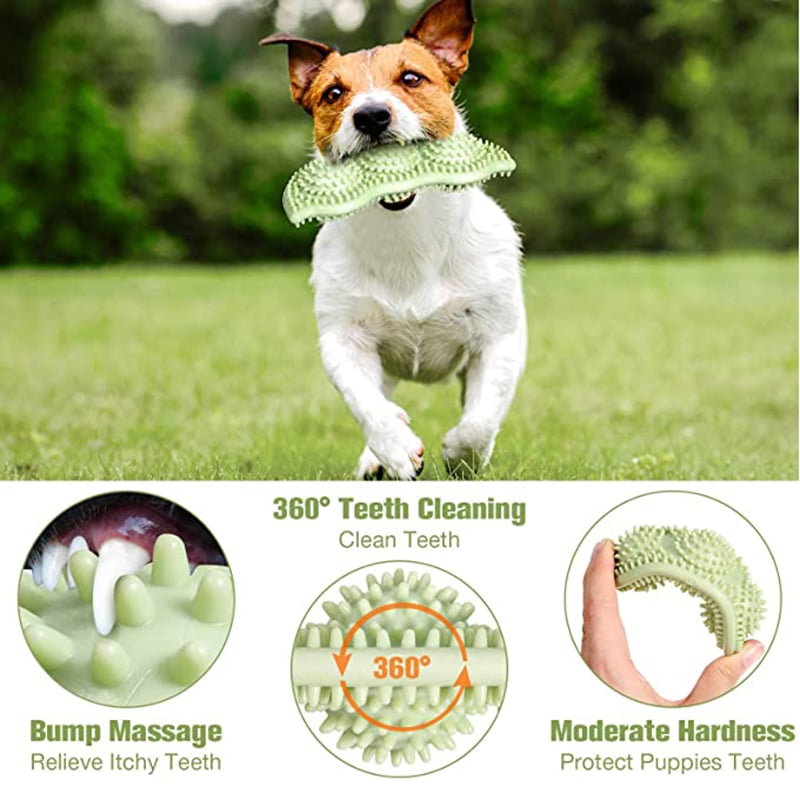 Bite - Resistant Dog Toy Ball for Interactive Chewing - Tail Wagger's Haven