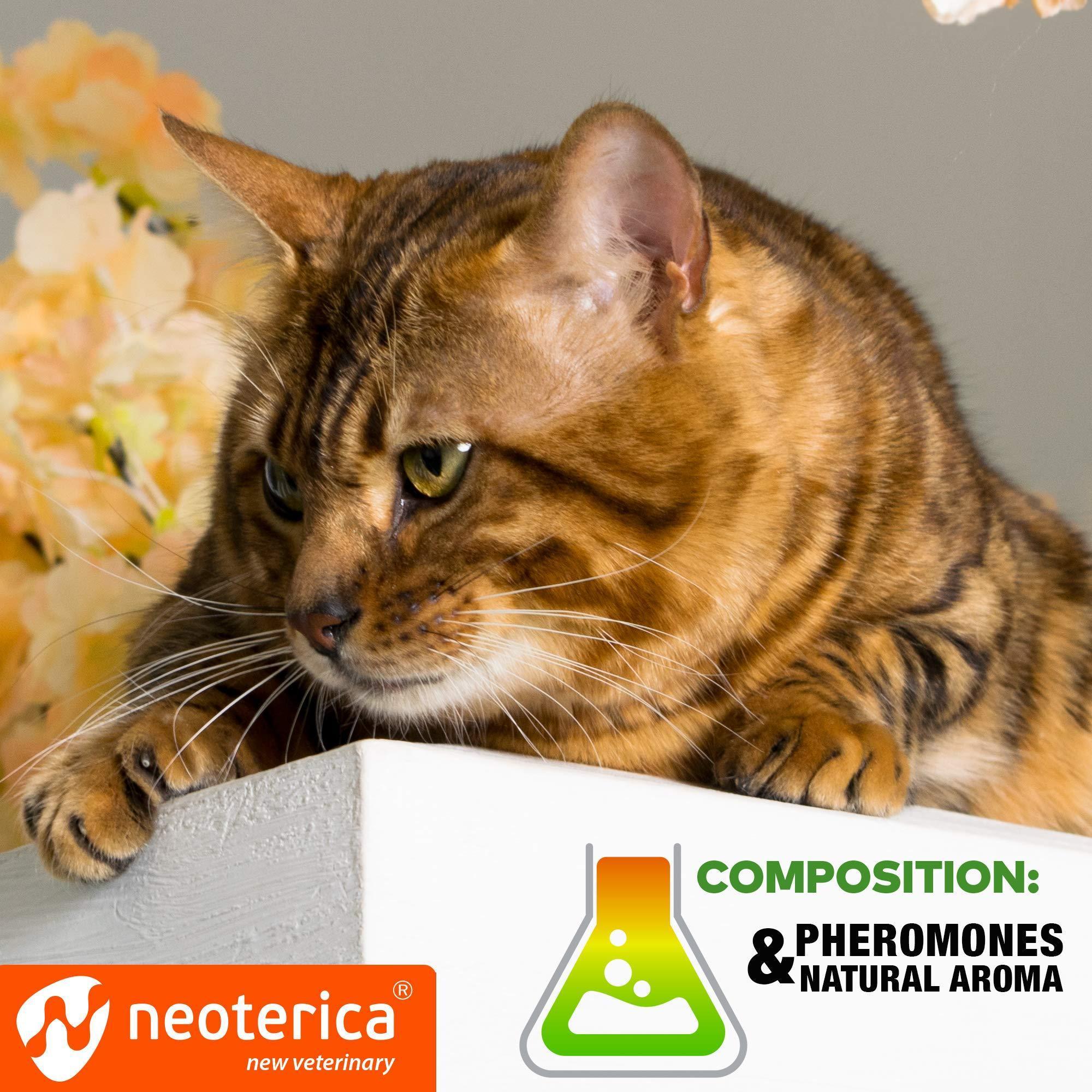 Calming Pheromone Spray Scratch Repellent for Cats Reduce Stress During Travel - Tail Wagger's Haven