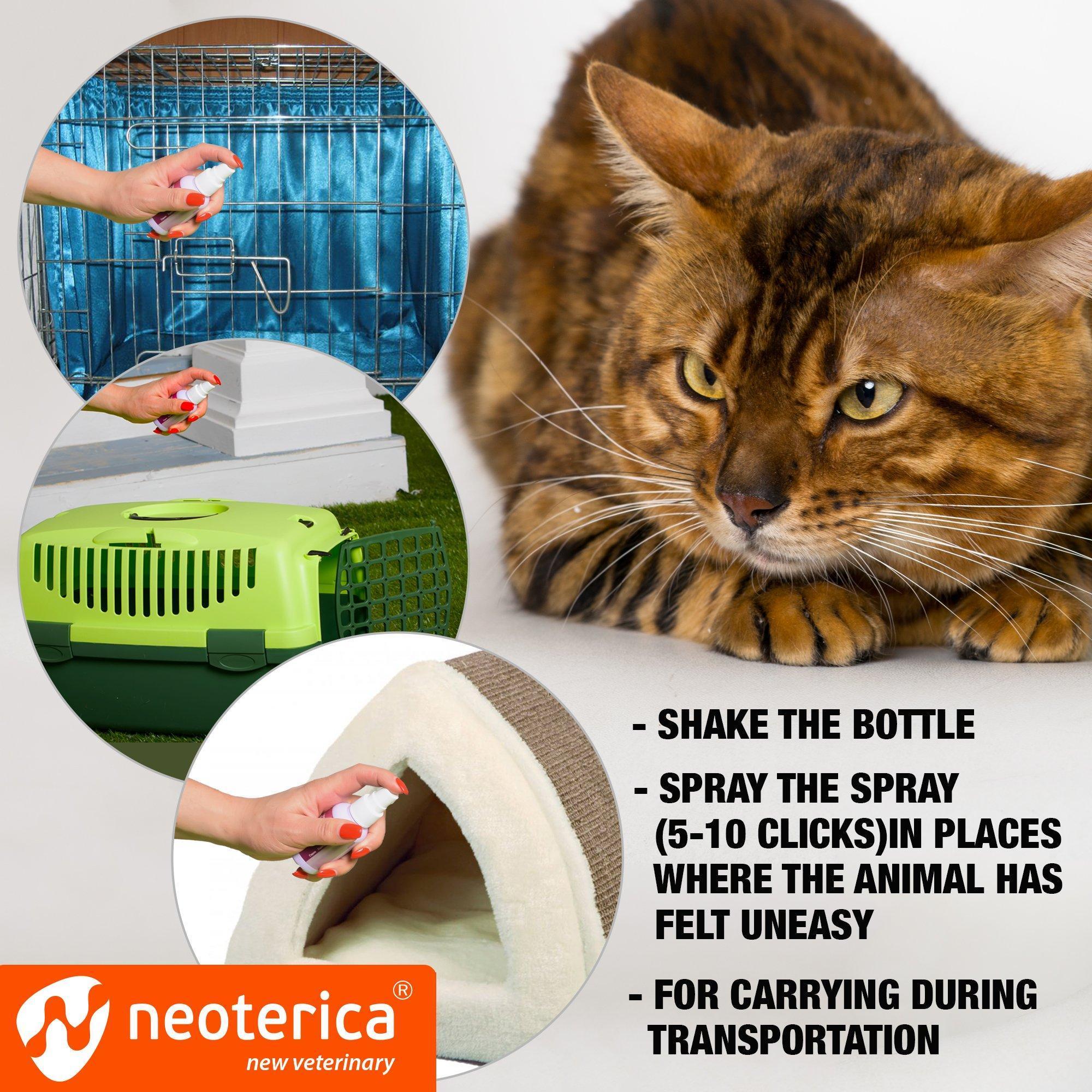 Calming Pheromone Spray Scratch Repellent for Cats Reduce Stress During Travel - Tail Wagger's Haven