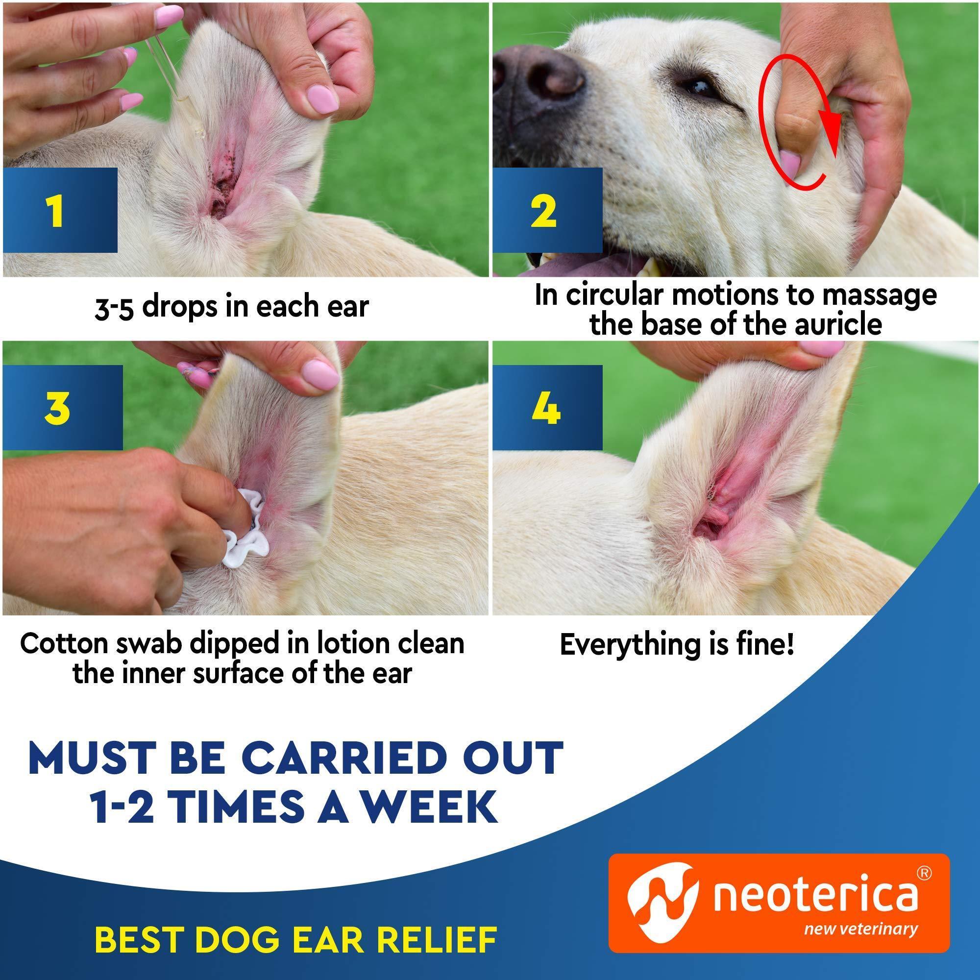 Cat Dog Ear Cleaner Drops Wash Solution Yeast Otic Infection Itchy Ear Treatment - Tail Wagger's Haven
