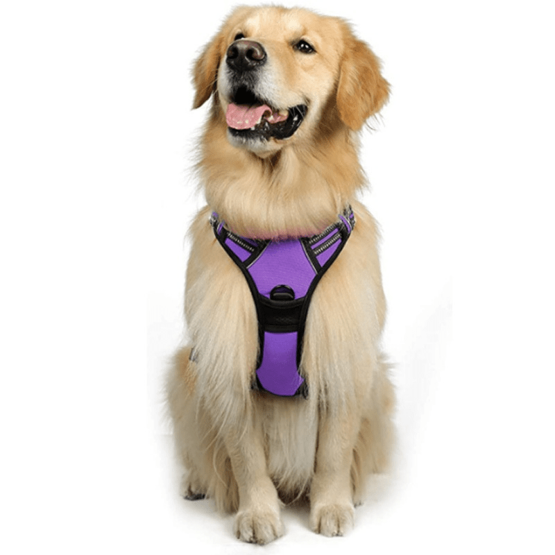 Chest And Back Breathable Reflective Dog Vest - Tail Wagger's Haven