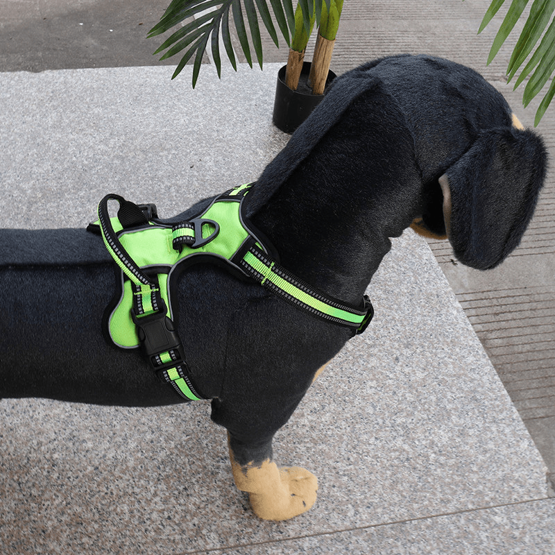 Chest And Back Breathable Reflective Dog Vest - Tail Wagger's Haven