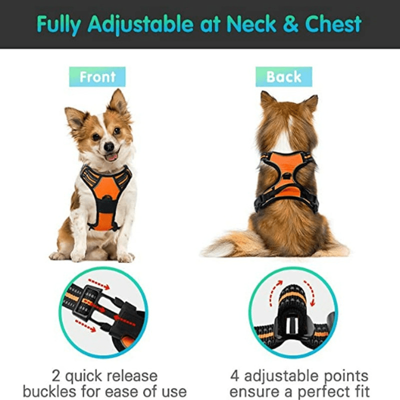 Chest And Back Breathable Reflective Dog Vest - Tail Wagger's Haven