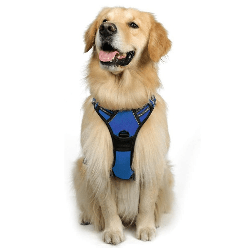 Chest And Back Breathable Reflective Dog Vest - Tail Wagger's Haven