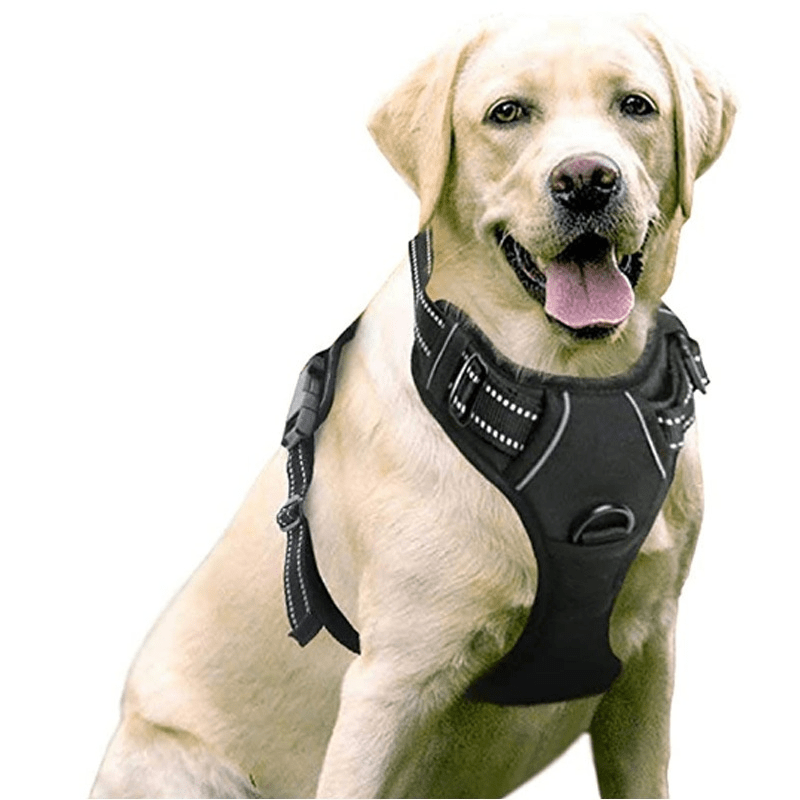 Chest And Back Breathable Reflective Dog Vest - Tail Wagger's Haven