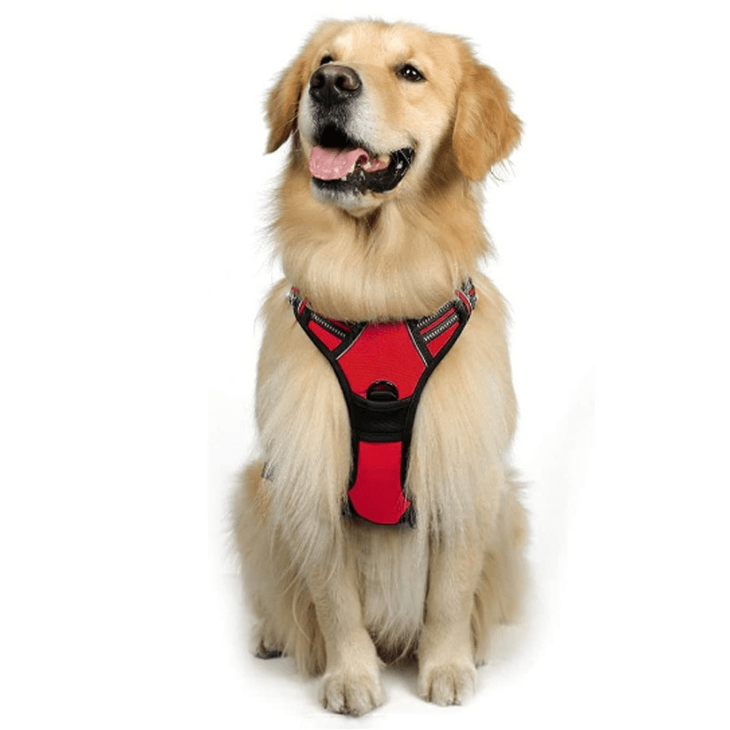 Chest And Back Breathable Reflective Dog Vest - Tail Wagger's Haven