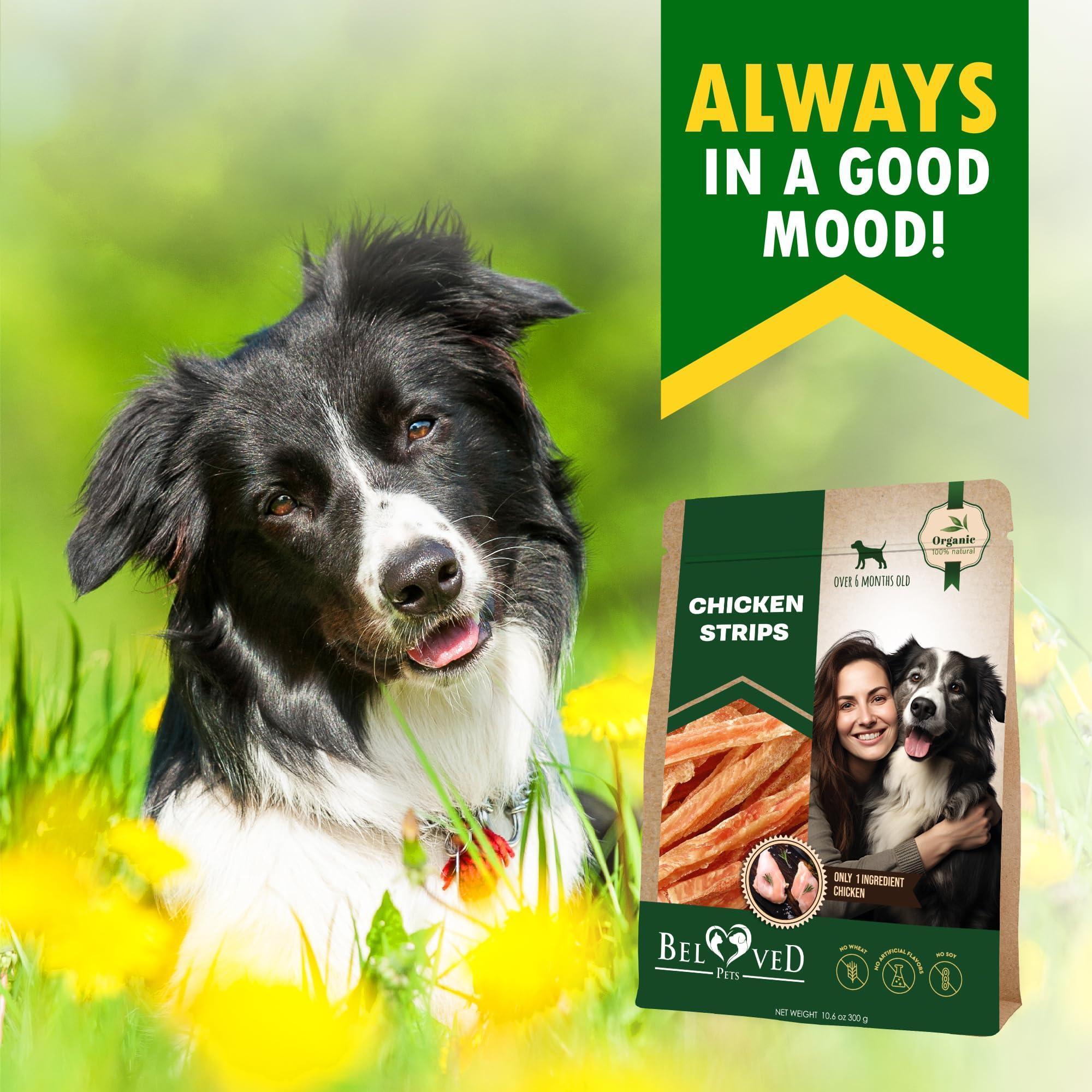 Chicken Strips Dog Treats Human Grade Meat Sticks Grain Free Chews 10.6 Oz - Tail Wagger's Haven