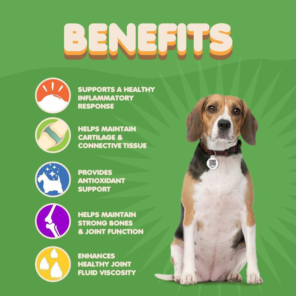 Dog Hip and Joint Supplement with Glucosamine Turmeric for Dogs Chondroitin MSM - Tail Wagger's Haven