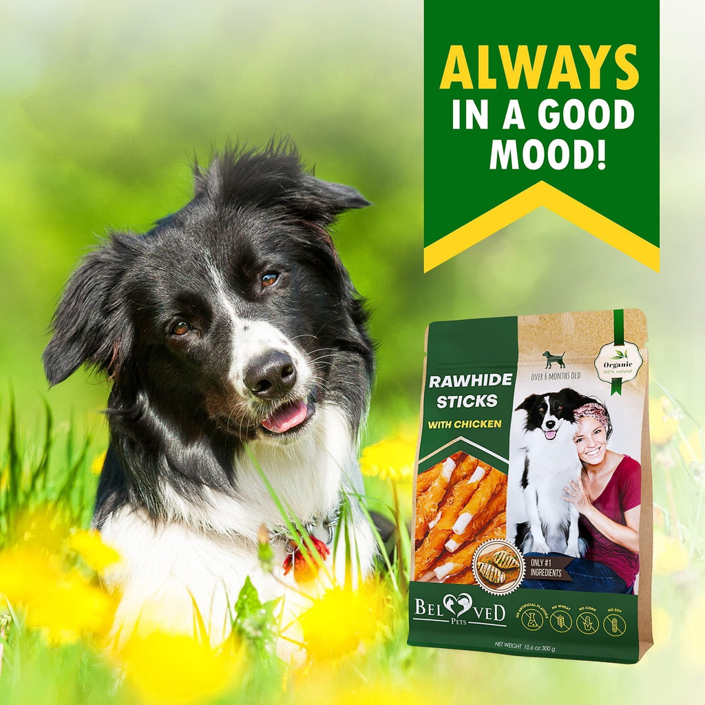 Dog Rawhide Sticks Wrapped with Chicken Pet Natural Chew Treats Grain Free Snack - Tail Wagger's Haven