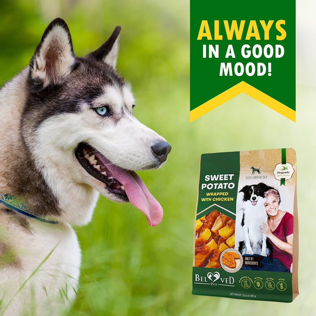 Dog Sweet Potato Wrapped with Chicken Pet Natural Chew Treats Grain Free Snacks - Tail Wagger's Haven