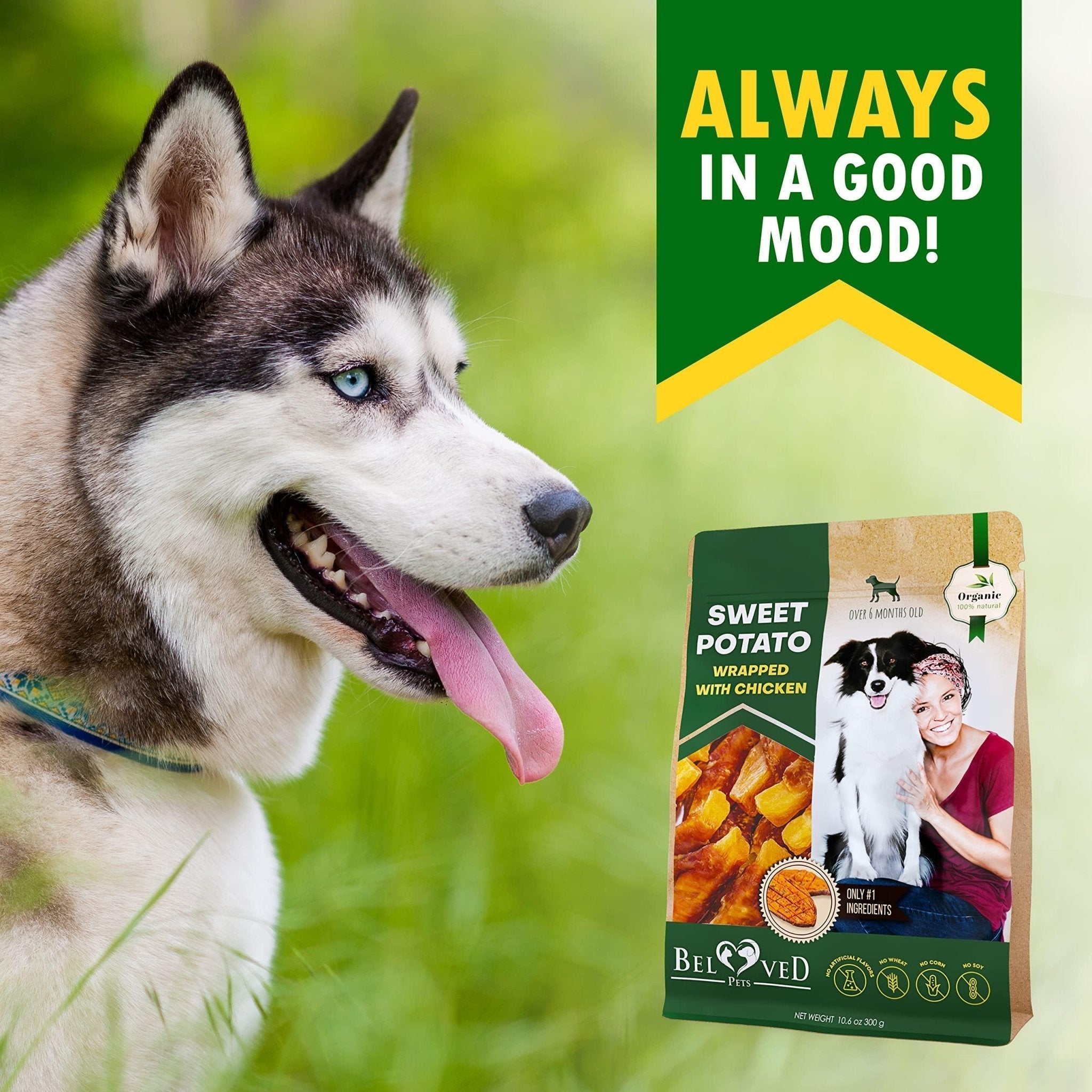 Dog Sweet Potato Wrapped with Chicken Pet Natural Chew Treats Grain Free Snacks - Tail Wagger's Haven