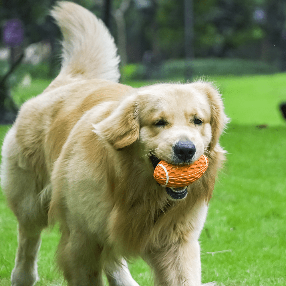 Durable Dog Toy for Boredom Relief and Playtime - Tail Wagger's Haven