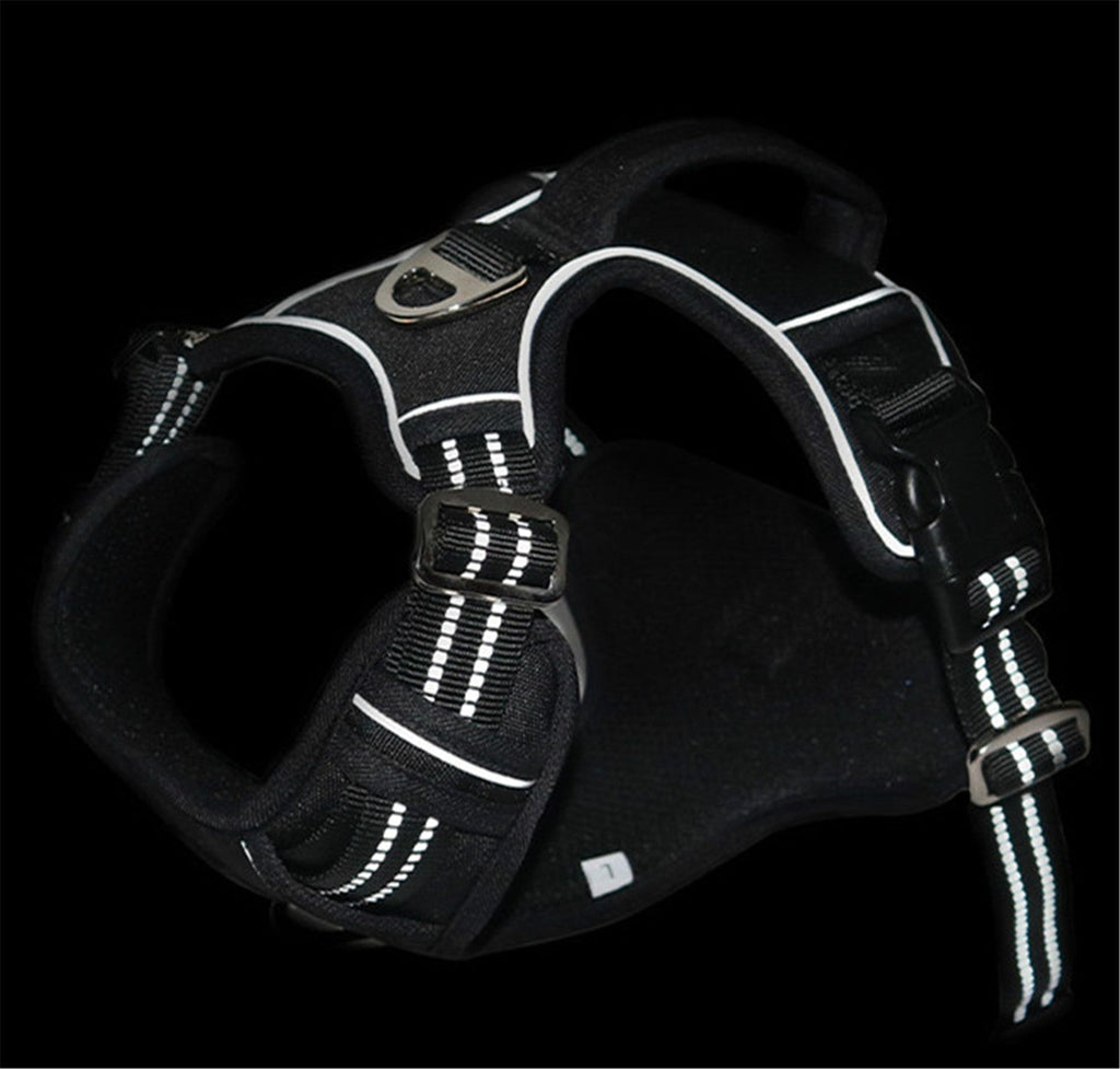 Durable Waterproof Pet Harness with Vertical Handle - Tail Wagger's Haven
