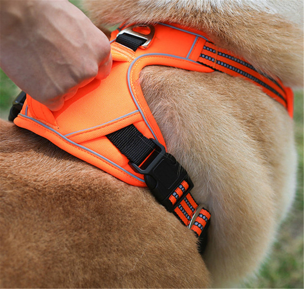Durable Waterproof Pet Harness with Vertical Handle - Tail Wagger's Haven
