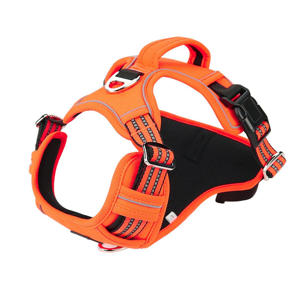 Durable Waterproof Pet Harness with Vertical Handle - Tail Wagger's Haven