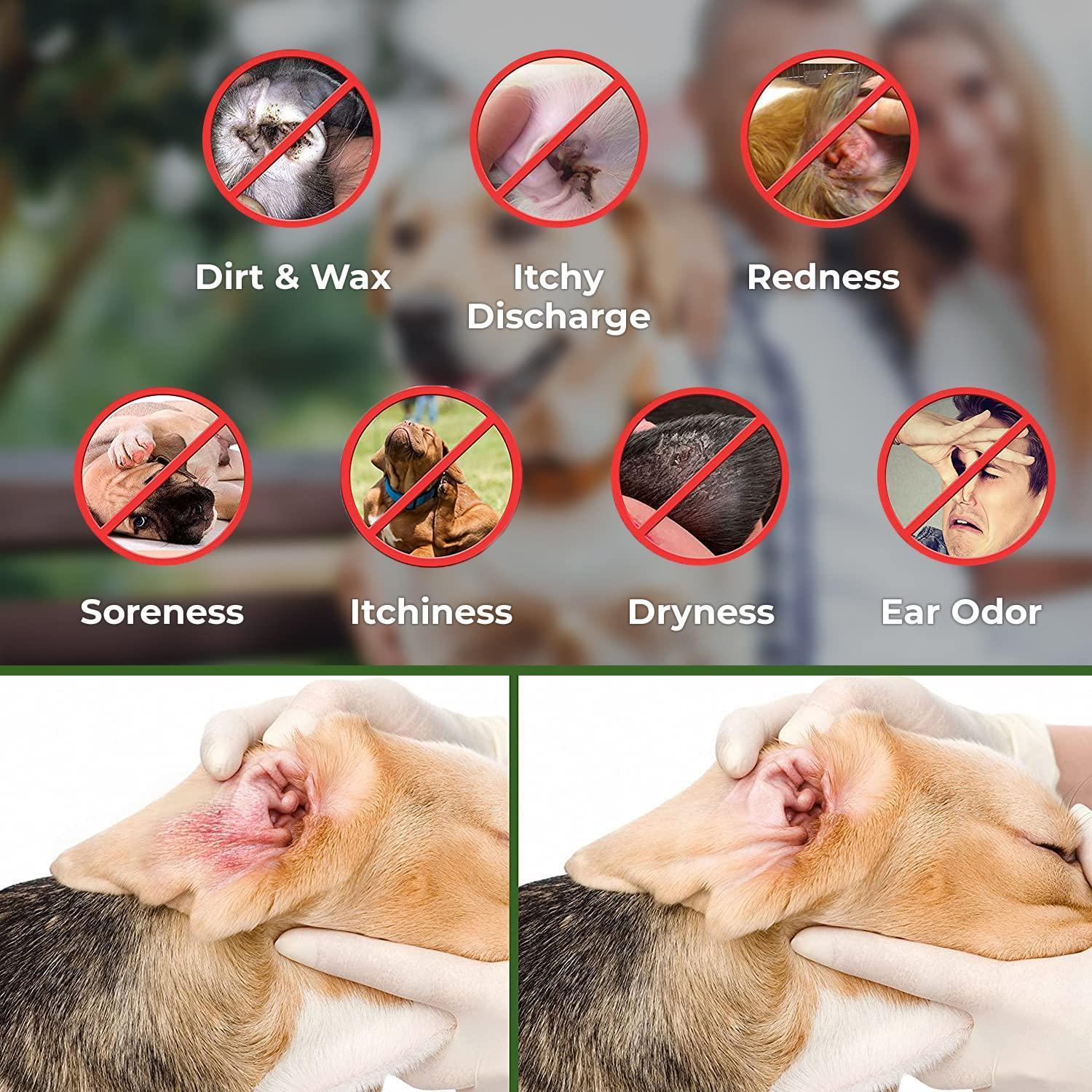 Ear Cleaner Wipes for Dogs Cats Puppies & Kittens 100 Count Removes Dirt Wax - Tail Wagger's Haven