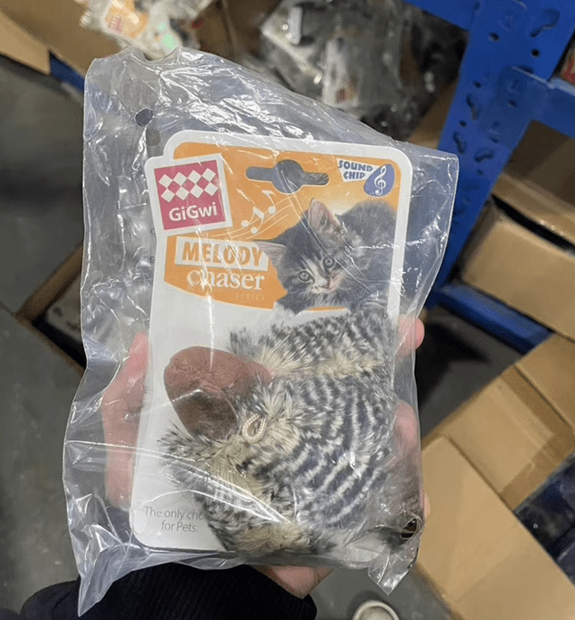 GiGwi MELODY Chaser Interactive Cat Toy with Animal Sounds - Tail Wagger's Haven