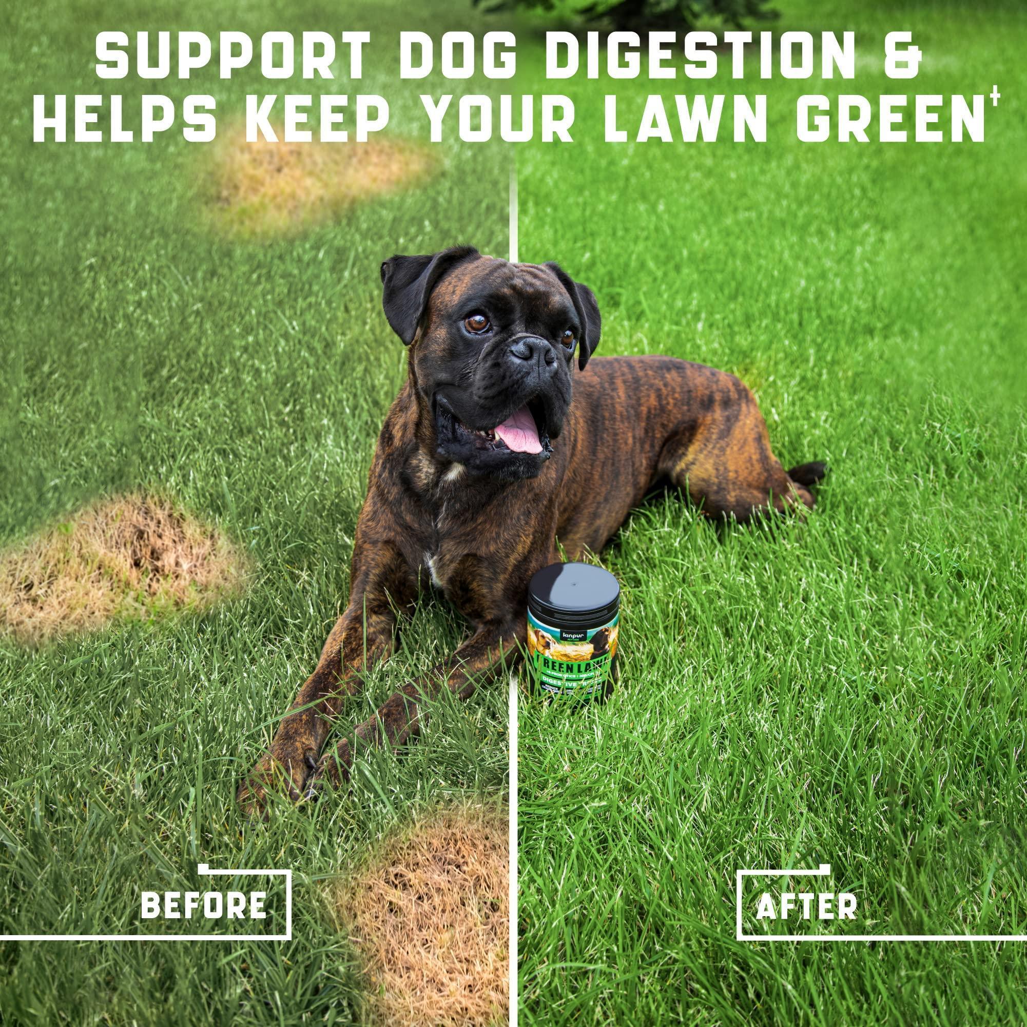 Green Lawn Chews for Dogs Cranberry ACV Digestive Enzymes Natural Dog Urine - Tail Wagger's Haven