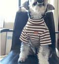 Lightweight Summer Clothing for Small Dogs - Tail Wagger's Haven