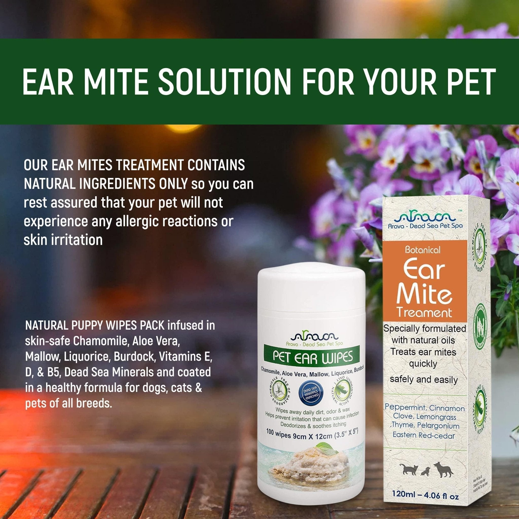 Natural Ear Mite Treatment for Dogs & Cats Pet Ear Mites Infection Cleaner - Tail Wagger's Haven