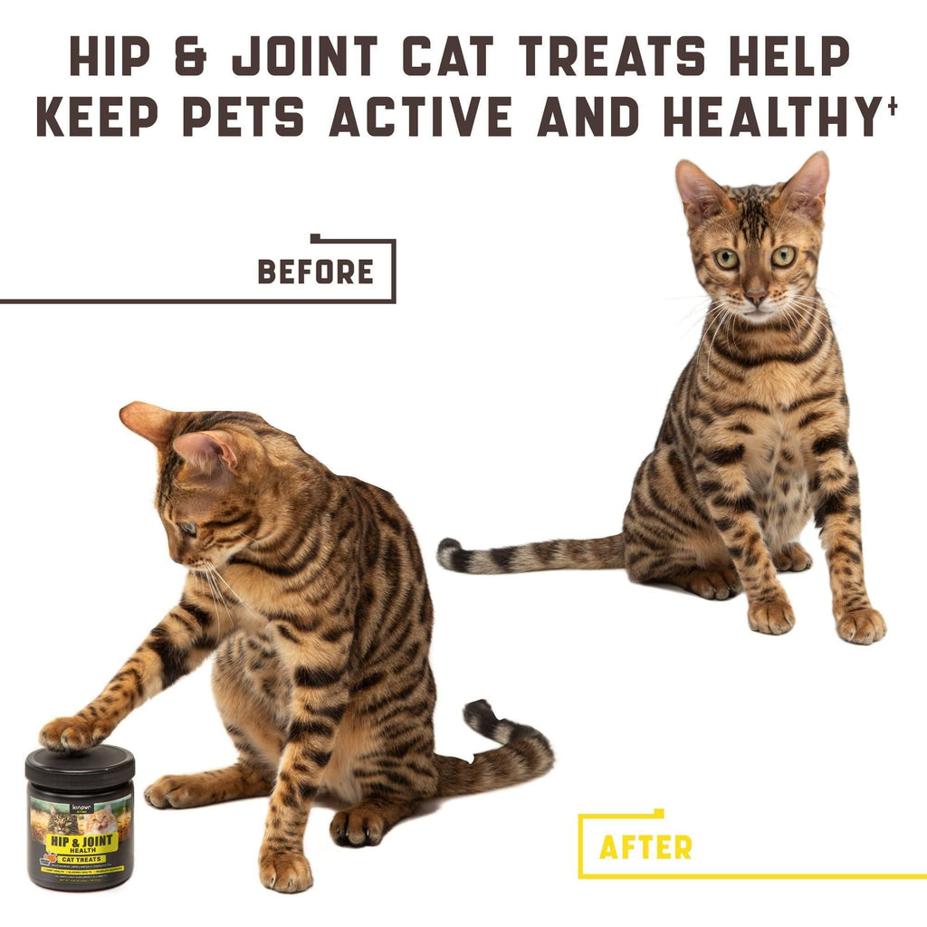 Natural Glucosamine for Cats Effective Cat Joint Supplement That Helps Improve - Tail Wagger's Haven