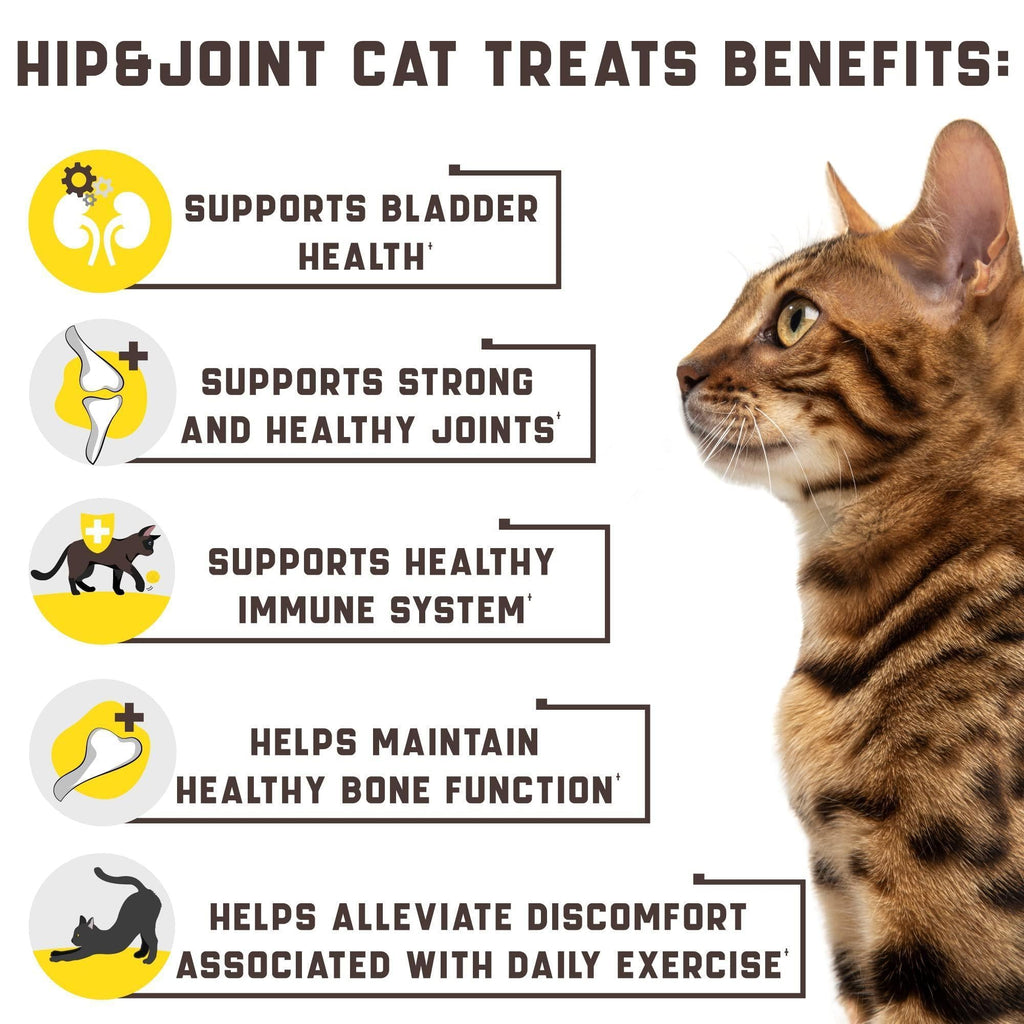 Natural Glucosamine for Cats Effective Cat Joint Supplement That Helps Improve - Tail Wagger's Haven