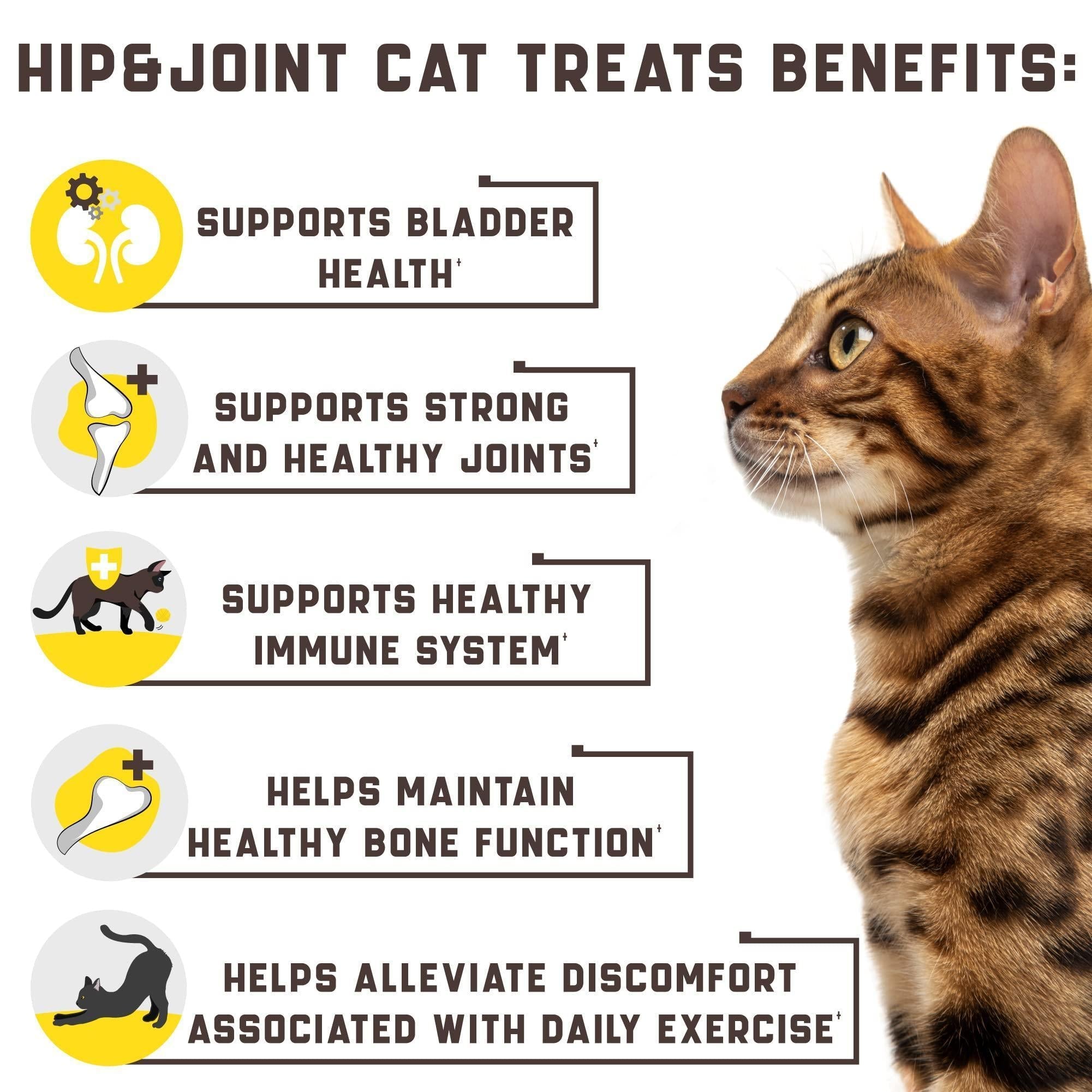 Natural Glucosamine for Cats Effective Cat Joint Supplement That Helps Improve - Tail Wagger's Haven