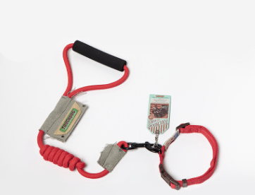 Pet Leash Set for Small Dogs and Cats with Collar - Tail Wagger's Haven
