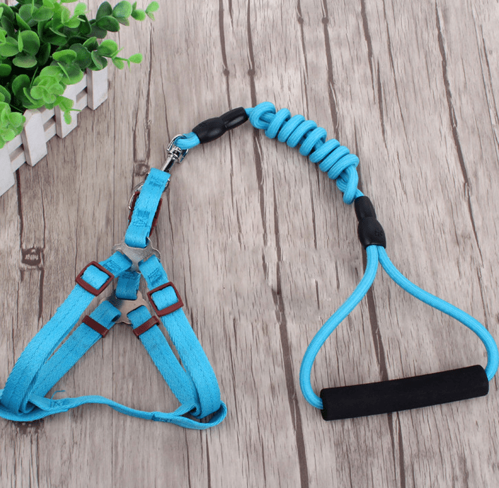 Pet Leash Set for Small Dogs and Cats with Collar - Tail Wagger's Haven