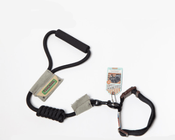 Pet Leash Set for Small Dogs and Cats with Collar - Tail Wagger's Haven