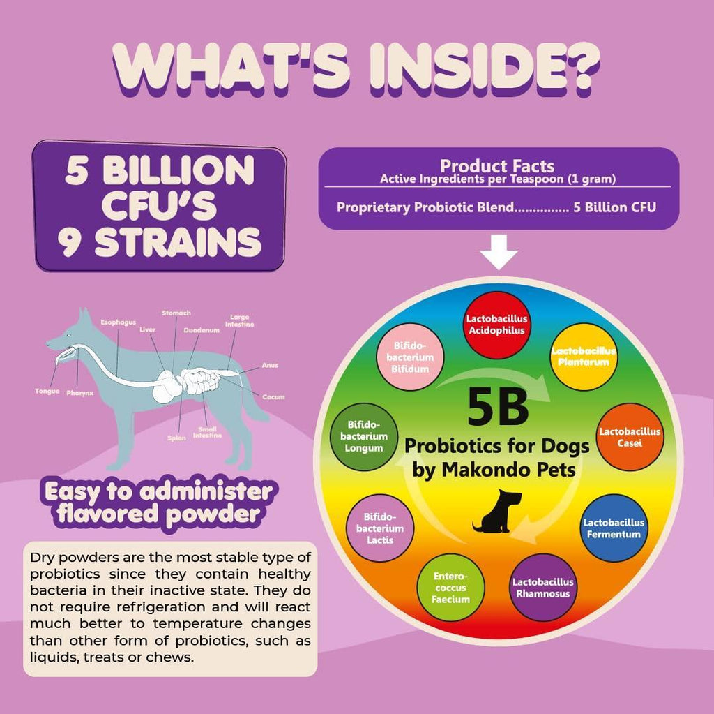 Probiotics for Dogs Puppies Extra Strength 9 Species 5 Billion CFU per Scoop of - Tail Wagger's Haven