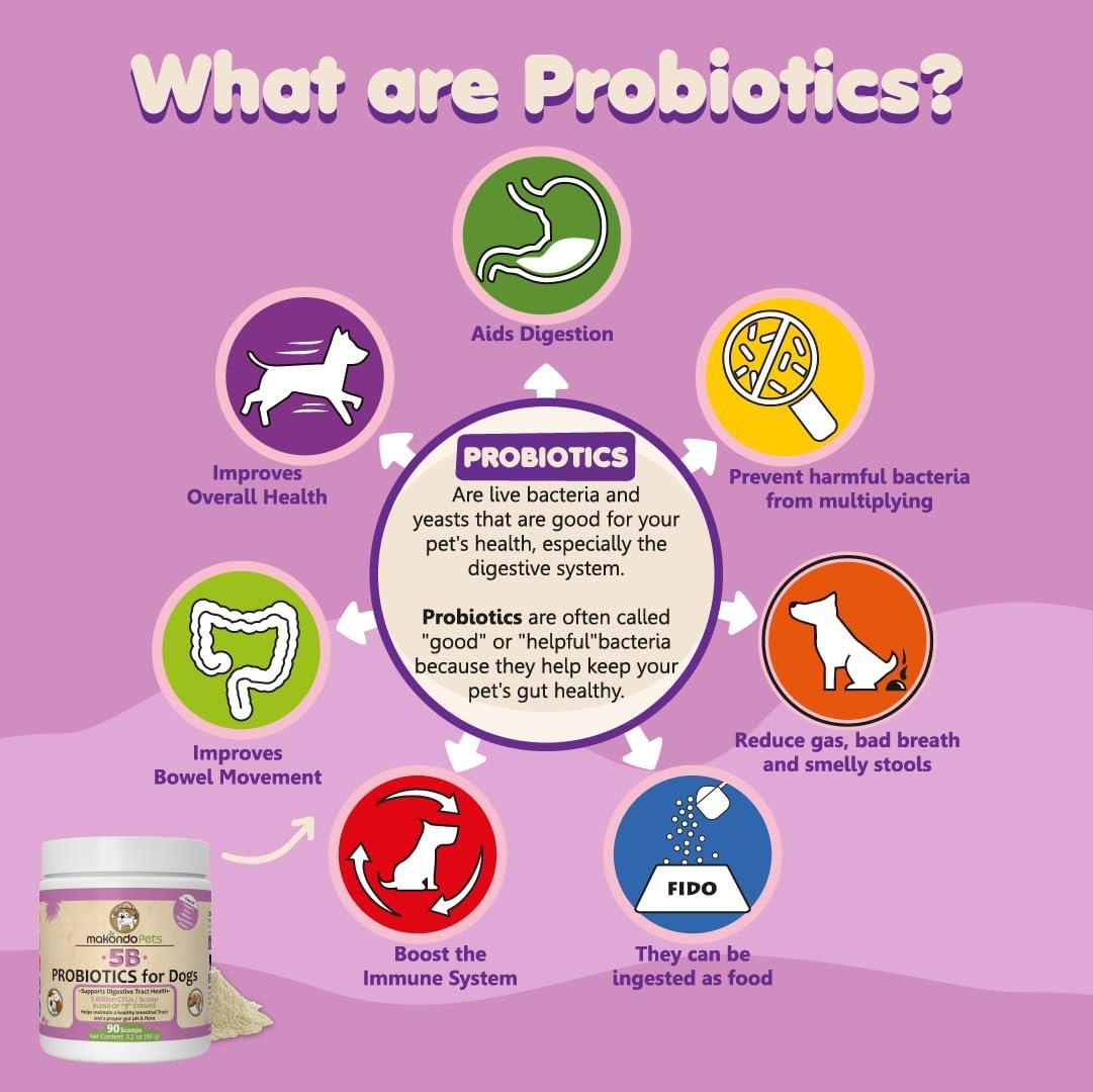 Probiotics for Dogs Puppies Extra Strength 9 Species 5 Billion CFU per Scoop of - Tail Wagger's Haven