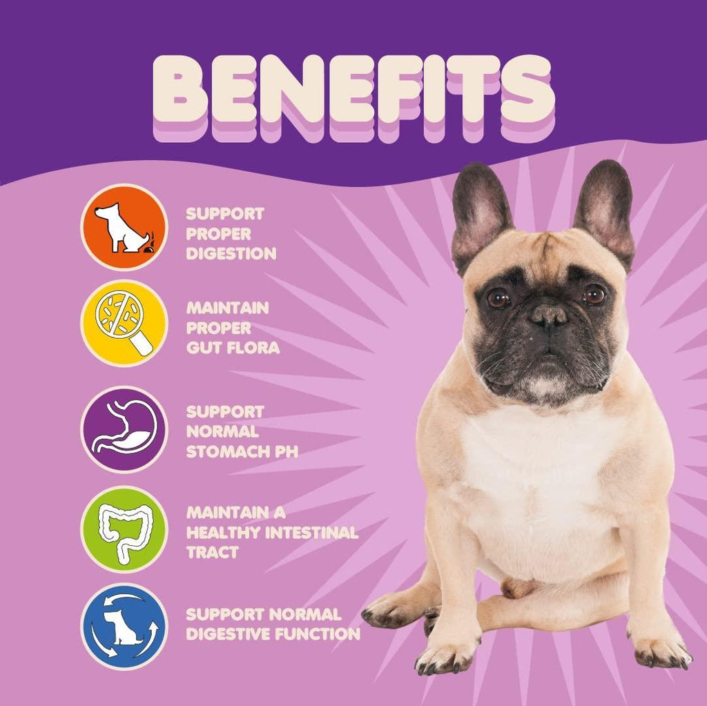 Probiotics for Dogs Puppies Extra Strength 9 Species 5 Billion CFU per Scoop of - Tail Wagger's Haven