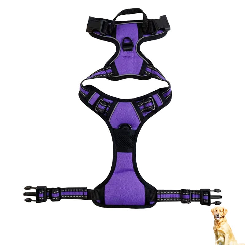 Reflective Nylon Chest and Back Harness for Dogs - Tail Wagger's Haven