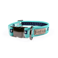 Regatta Nautical Sailing Flag Buckle & Martingale Dog Collar - Tail Wagger's Haven