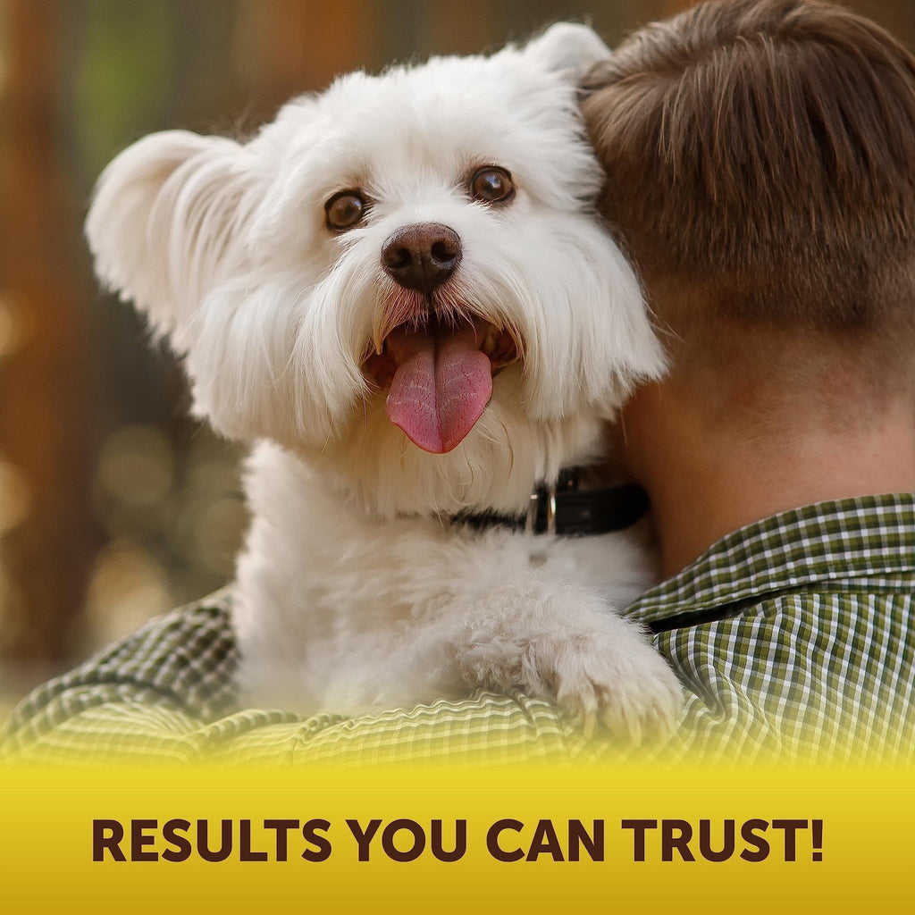 Scoot Stopper Soft Chews Fiber for Dogs Dog Anal Gland and Digestion Support - Tail Wagger's Haven