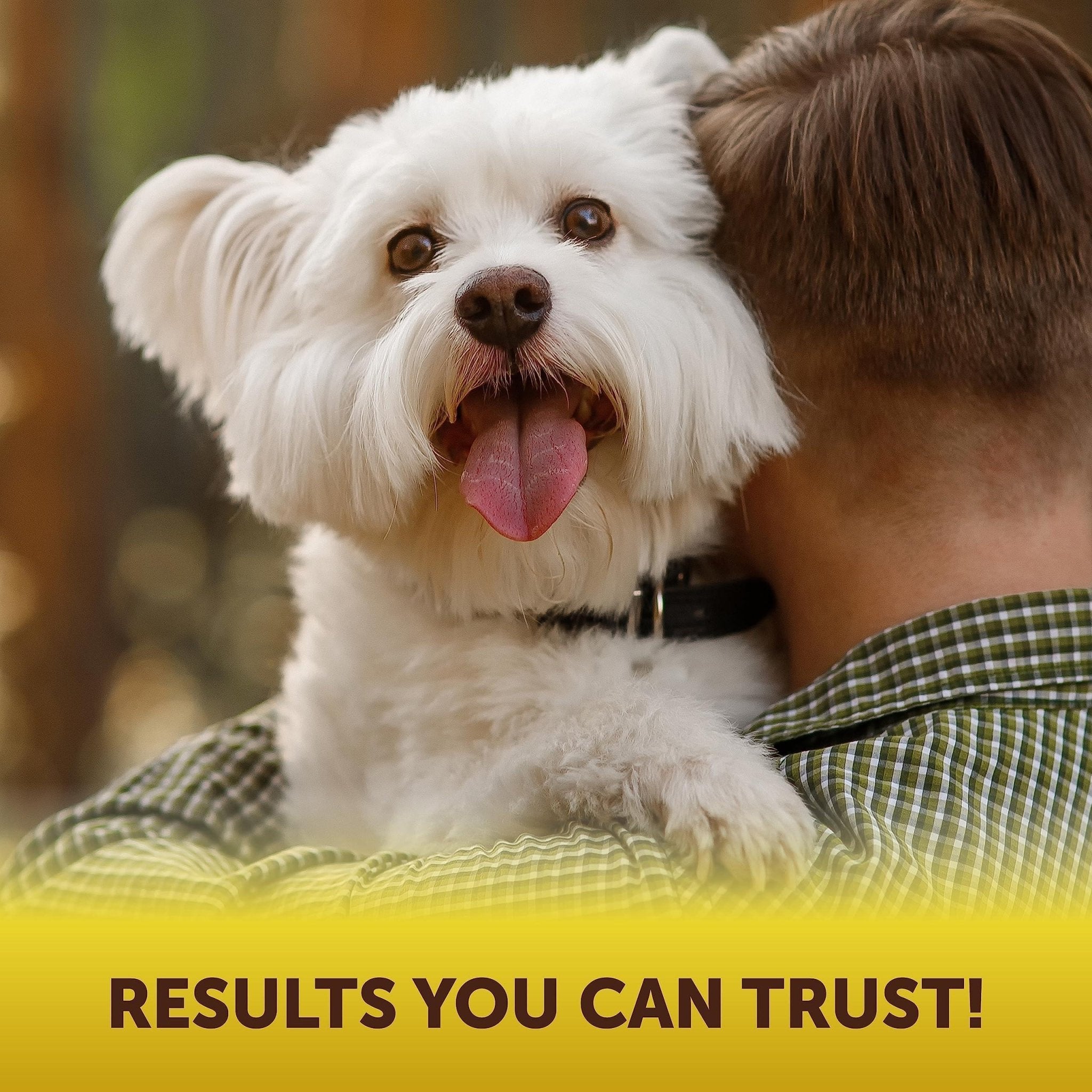 Scoot Stopper Soft Chews Fiber for Dogs Dog Anal Gland and Digestion Support - Tail Wagger's Haven