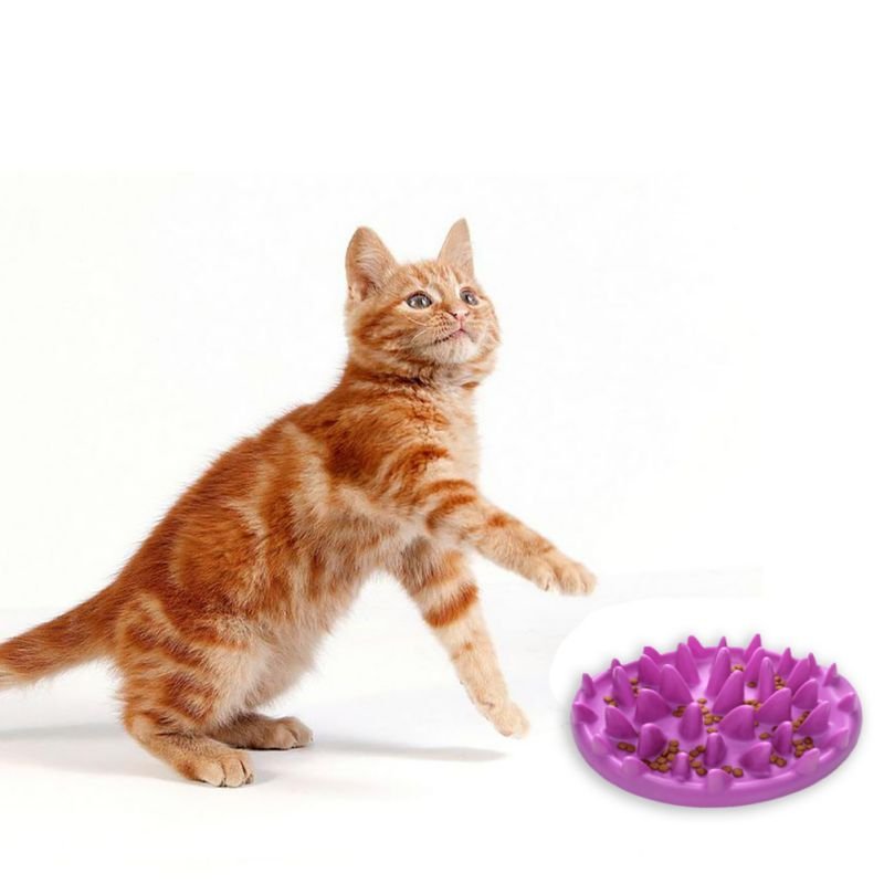 Silicone Non - Slip Pet Bowl for Dogs and Cats - Tail Wagger's Haven