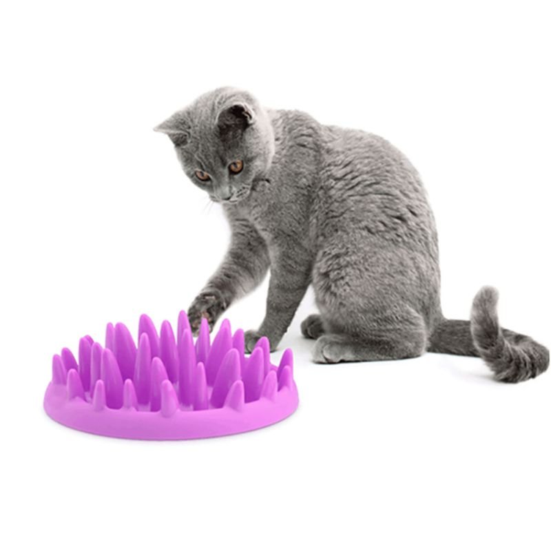 Silicone Non - Slip Pet Bowl for Dogs and Cats - Tail Wagger's Haven