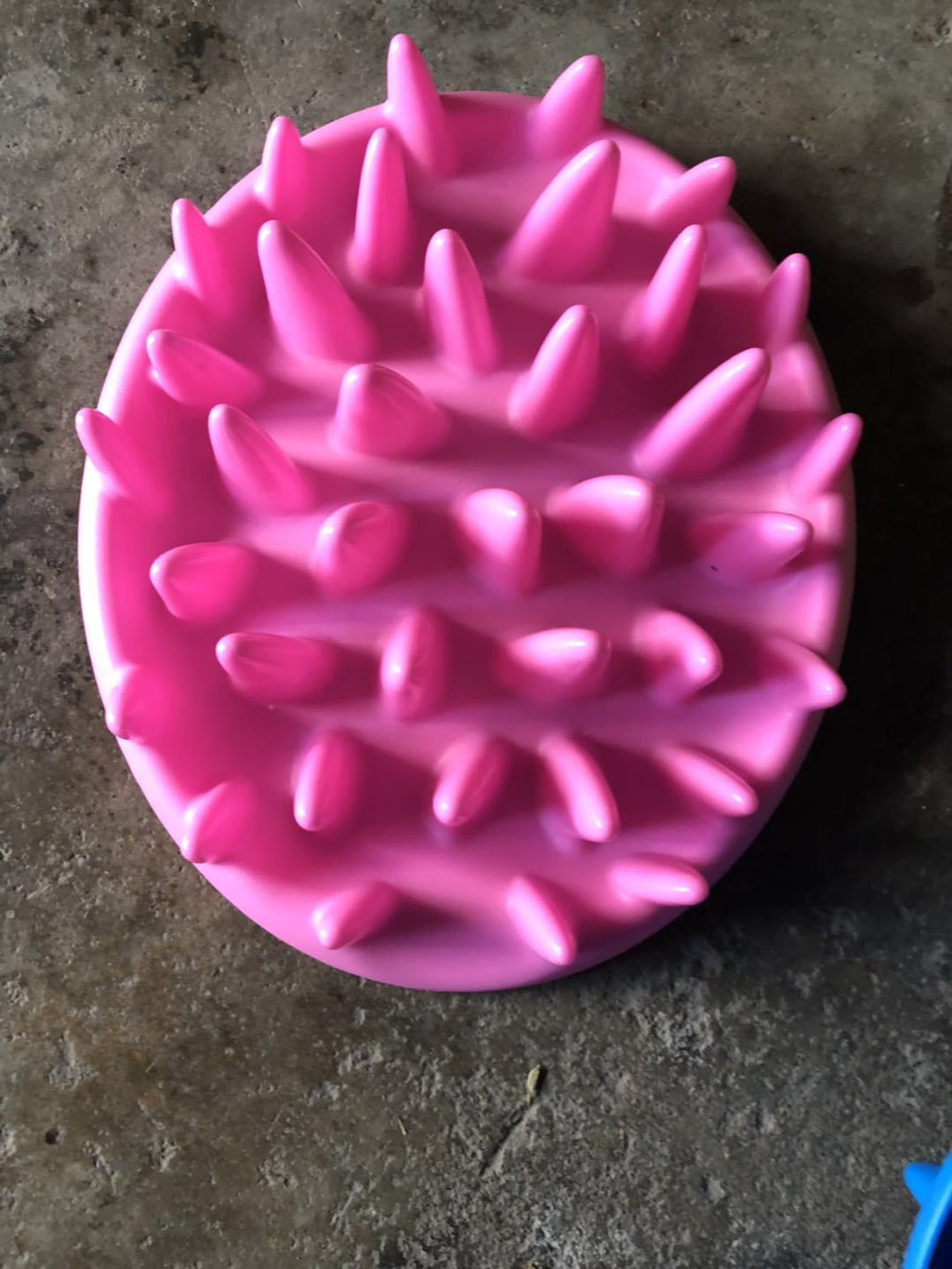 Silicone Non - Slip Pet Bowl for Dogs and Cats - Tail Wagger's Haven