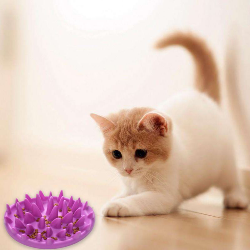 Silicone Non - Slip Pet Bowl for Dogs and Cats - Tail Wagger's Haven