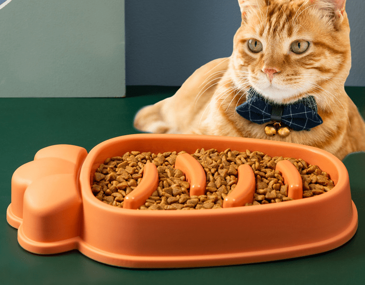 Slow Feed Dog Bowl for Large Dogs - Anti - Choke Design - Tail Wagger's Haven