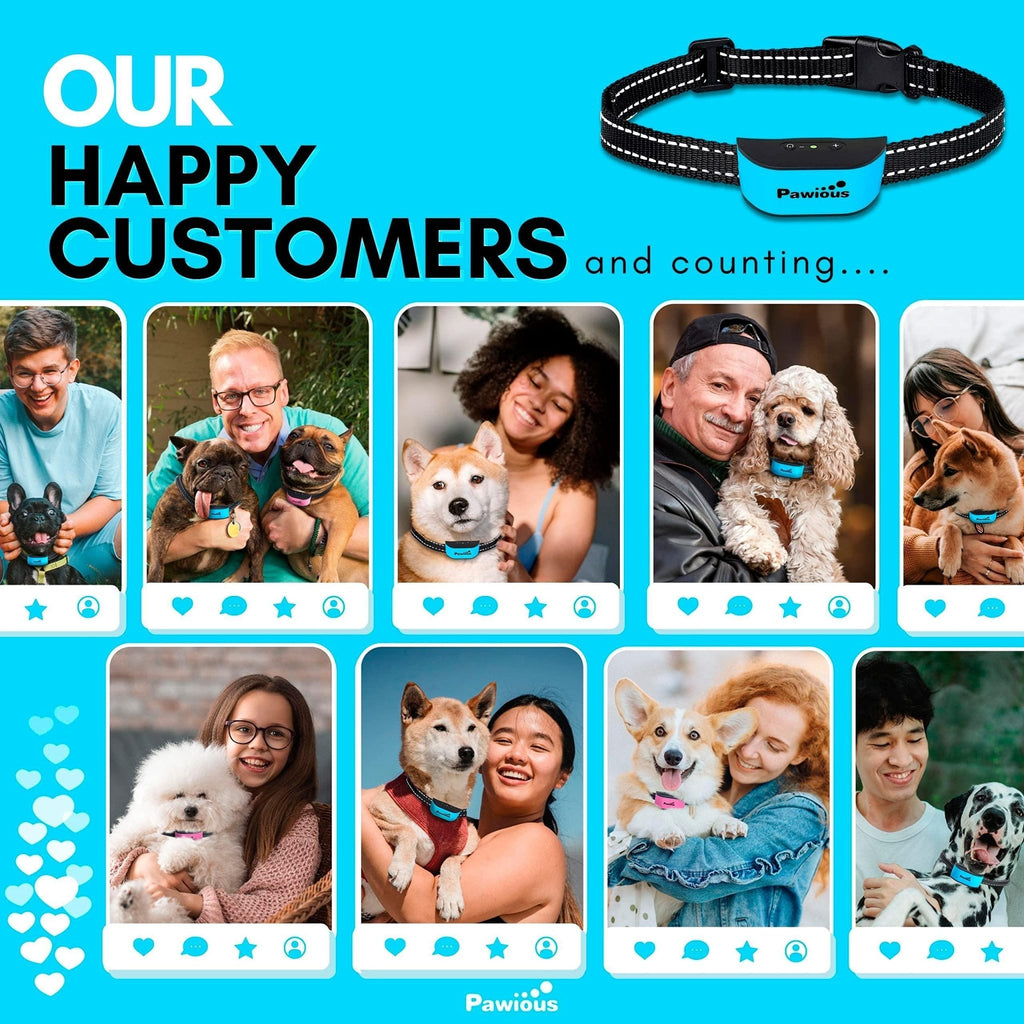Small Dog Bark Collar Humane No Shock Rechargeable Anti Barking Collar Rainproof - Tail Wagger's Haven