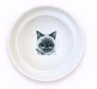 Spine Protection Bowl Holder for Cat Food and Water - Tail Wagger's Haven