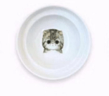 Spine Protection Bowl Holder for Cat Food and Water - Tail Wagger's Haven