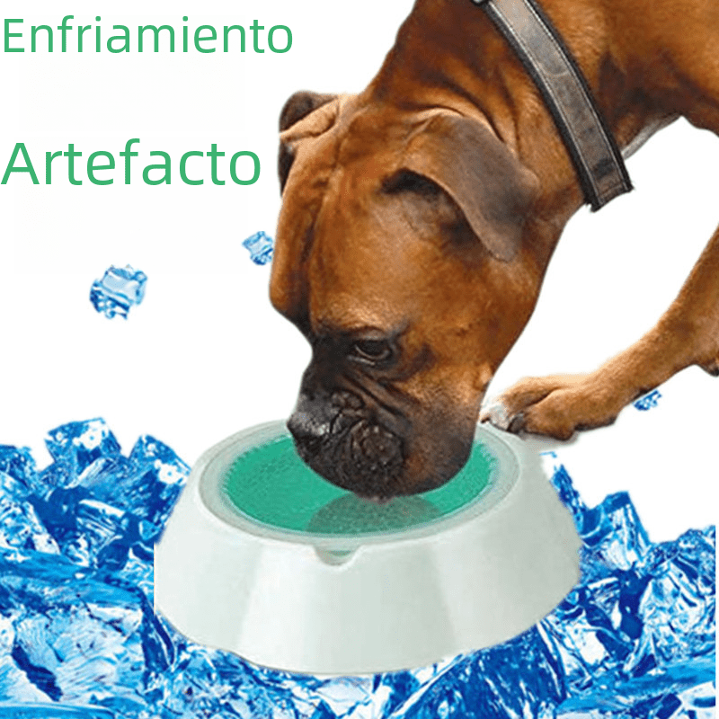 Summer Cooling Pet Bowls for Dogs and Cats - Tail Wagger's Haven